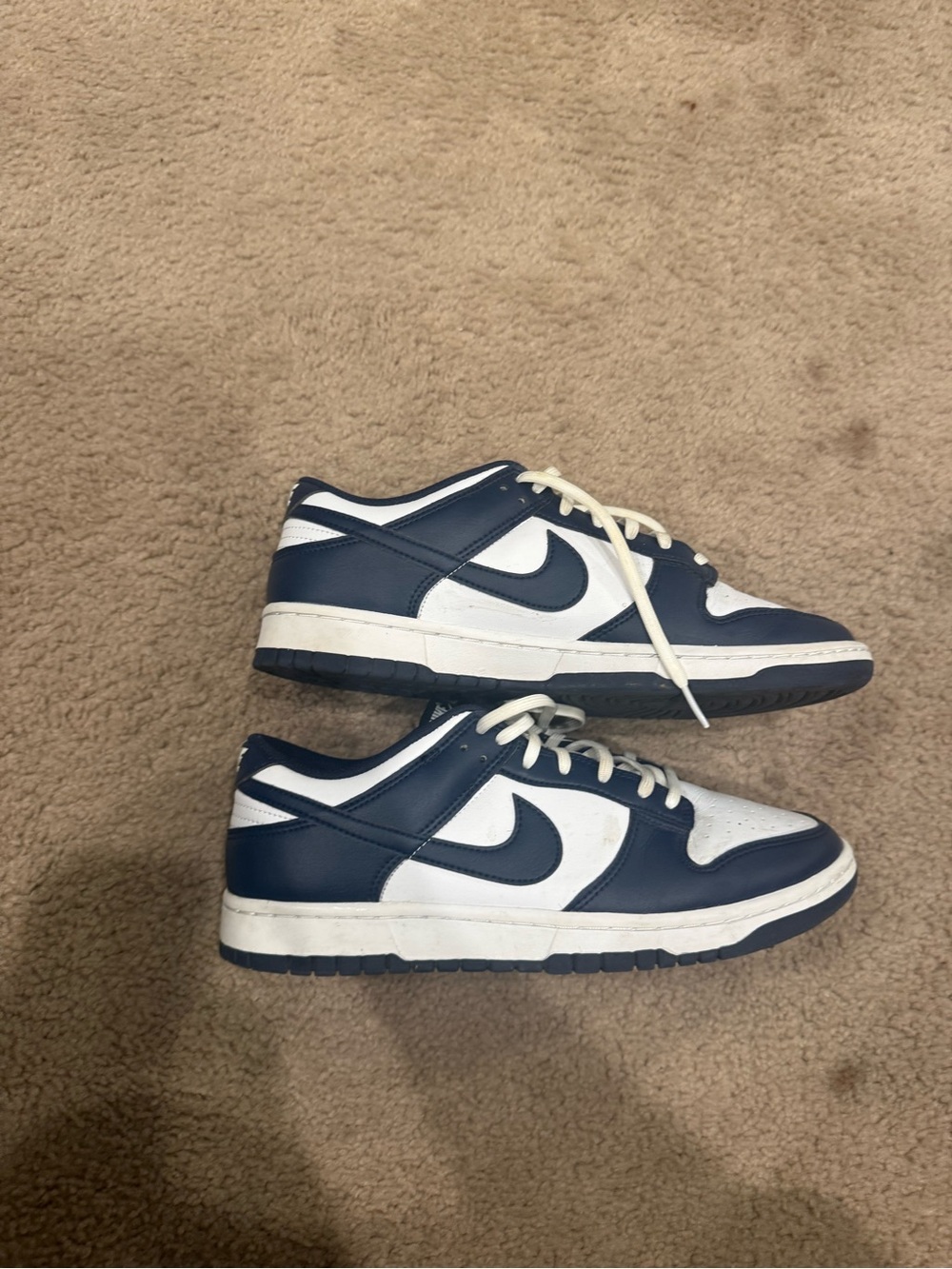 Nike Men’s Low-Top Sneakers in Navy and White